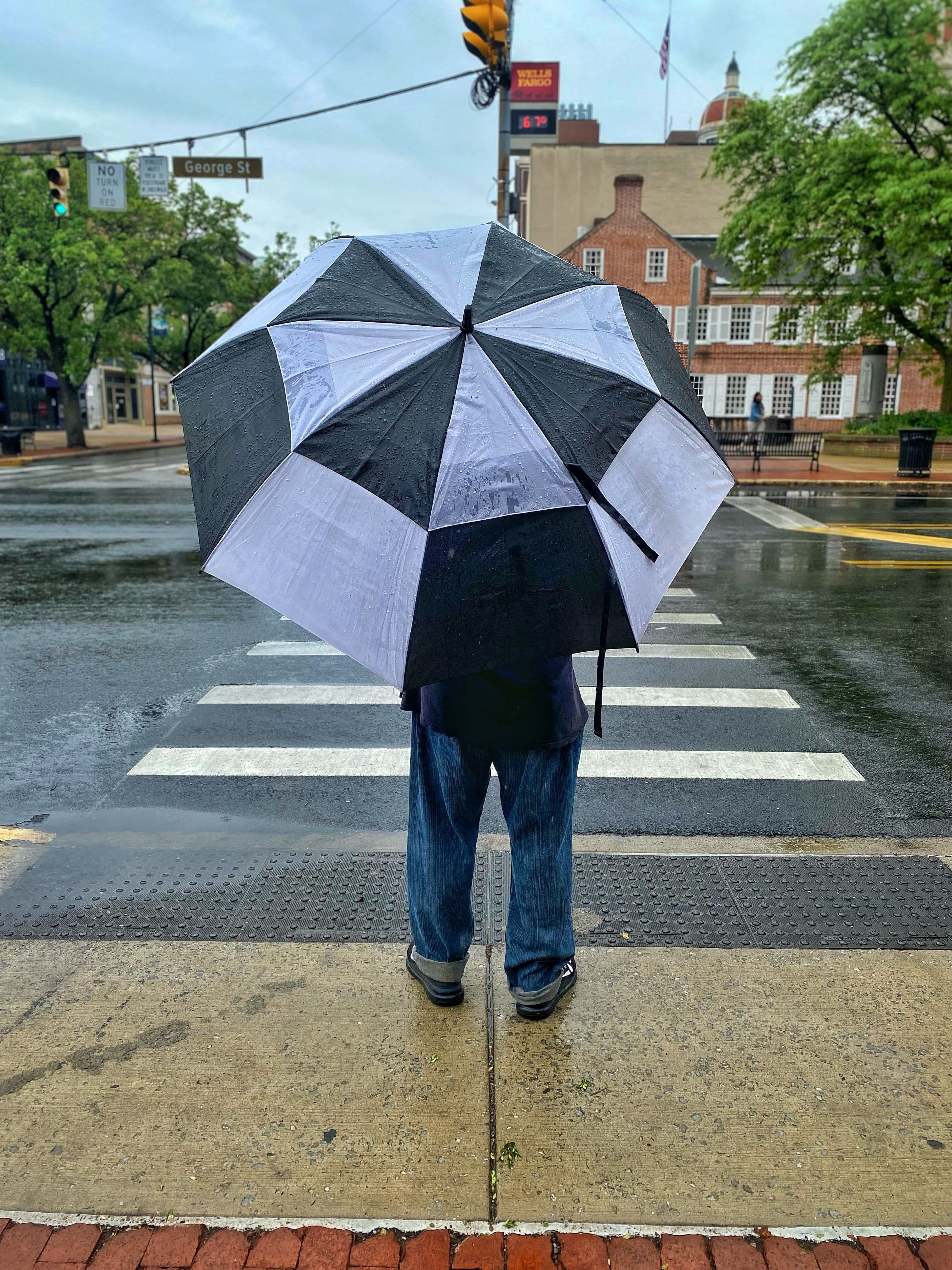 Man crosses the street on a rainy day in downtown York hidden behind big black and white umbrella.