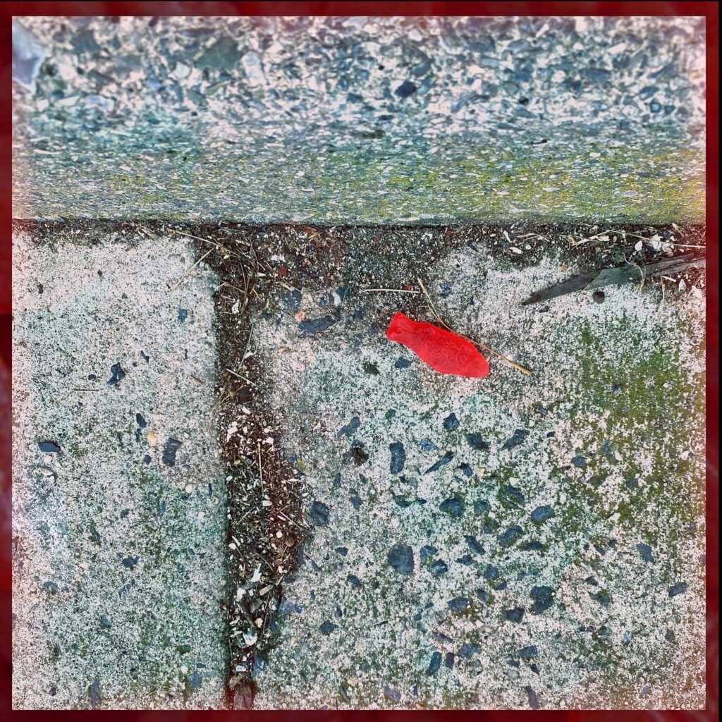 A Glimpse of Red