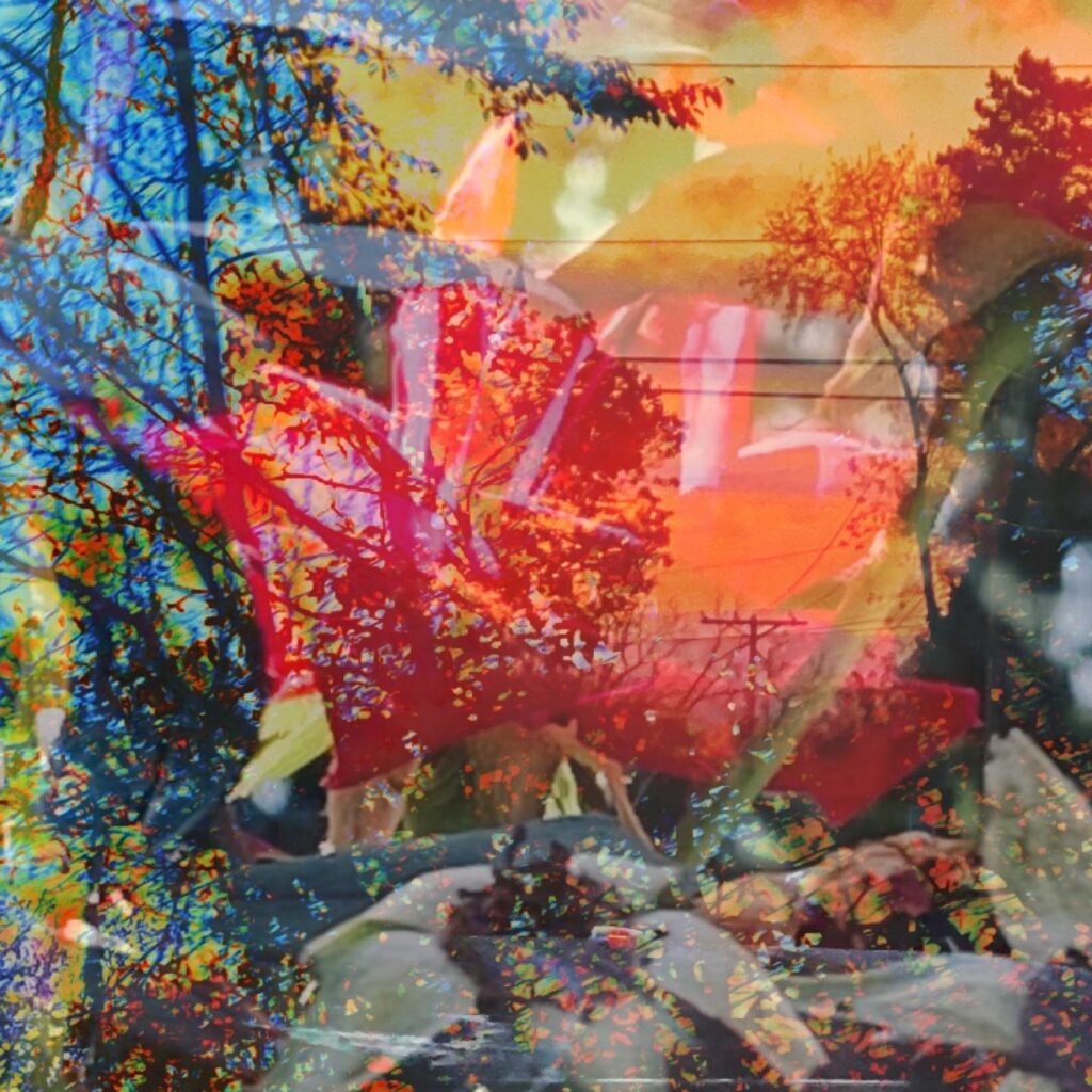 Nature in Layers