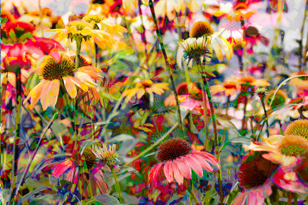 #21 Garden Radiance
