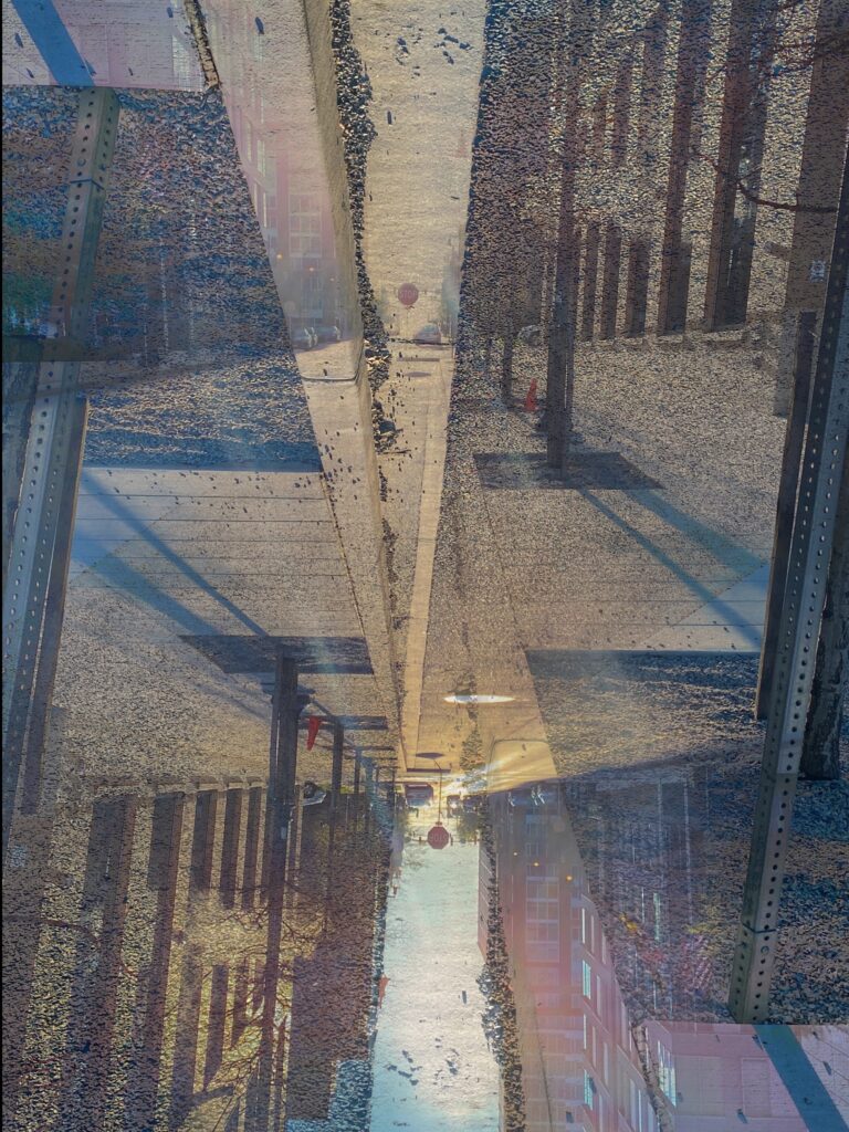 Avenue of Altered Perception