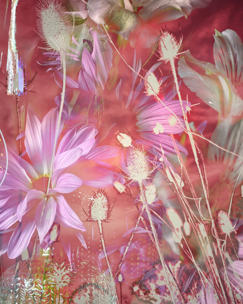 The Language of Blooms