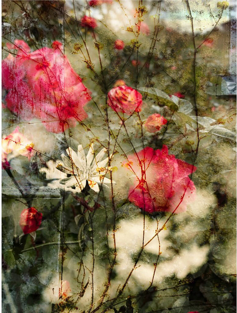 Rust and Rose Fine Art Photography | Brenda Welty