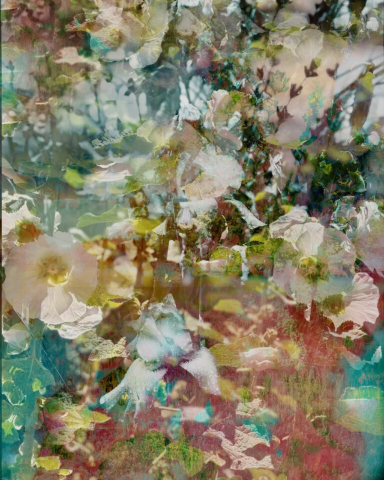 Contemporary abstract floral artwork featuring layered white and pink flowers, green foliage, teal-blue washes, and soft burgundy textures in a dreamy double-exposure botanical style.