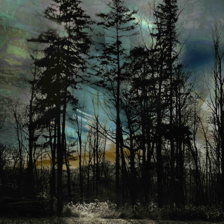 Aurora surreal forest photography by Brenda Welty